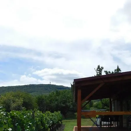 Mobilhome Mezi Vinohrady Holiday home Dolni Vestonice